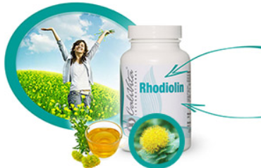 Rhodiolin pentru sanatate